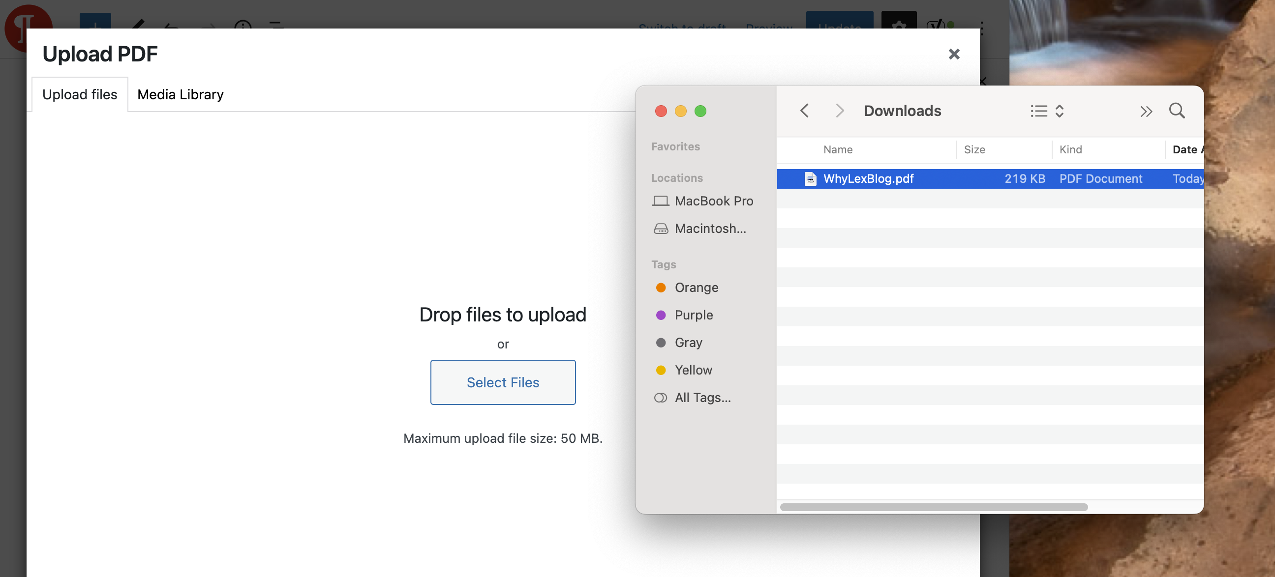 add-a-link-to-a-PDF-BlockEditor-img02.png