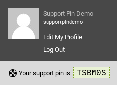 Screenshot_of_support_pin.png